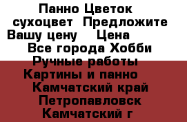 Панно Цветок - сухоцвет. Предложите Вашу цену! › Цена ­ 4 000 - Все города Хобби. Ручные работы » Картины и панно   . Камчатский край,Петропавловск-Камчатский г.